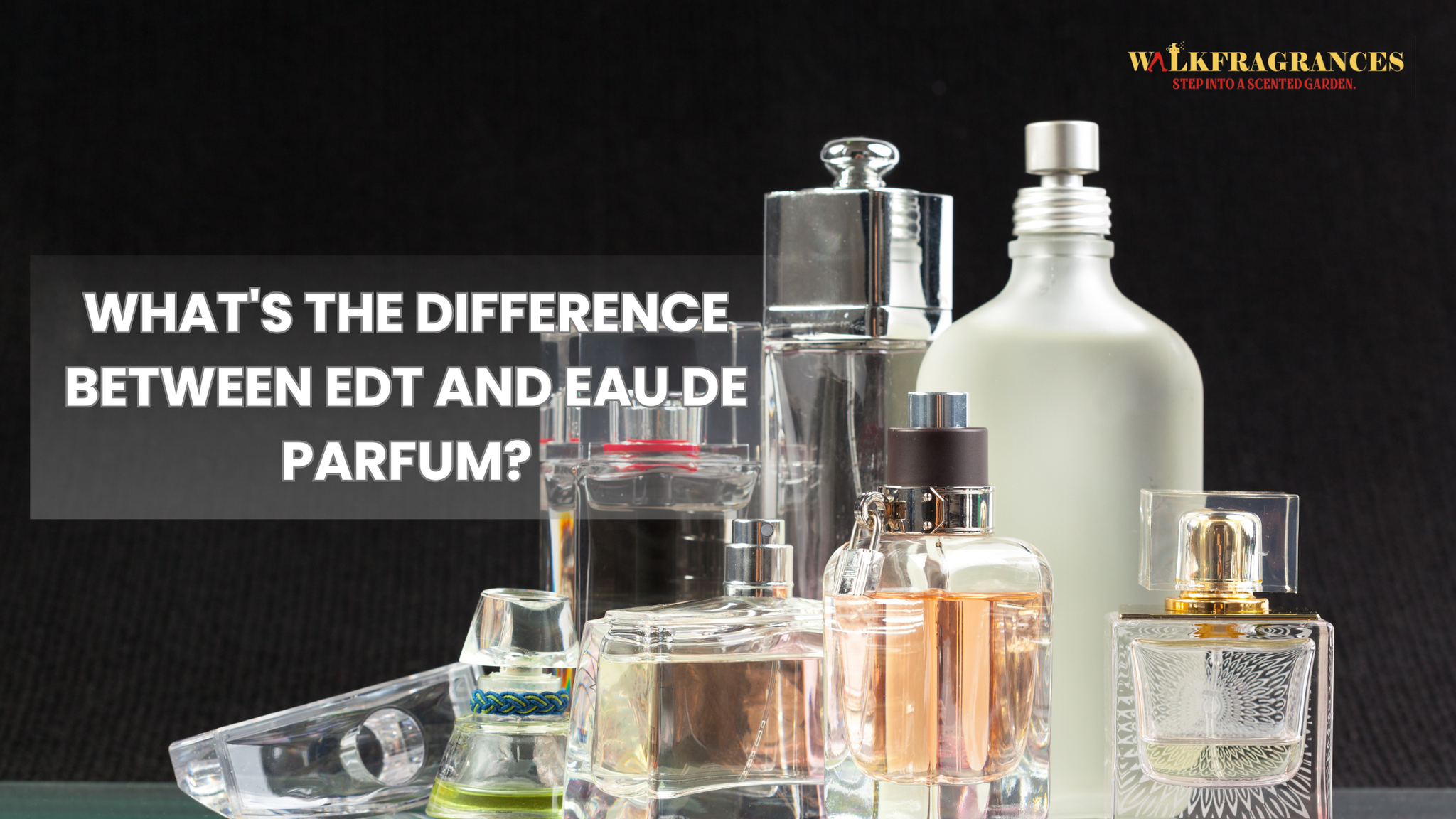 What's The Difference Between EDT and Eau De Parfum?