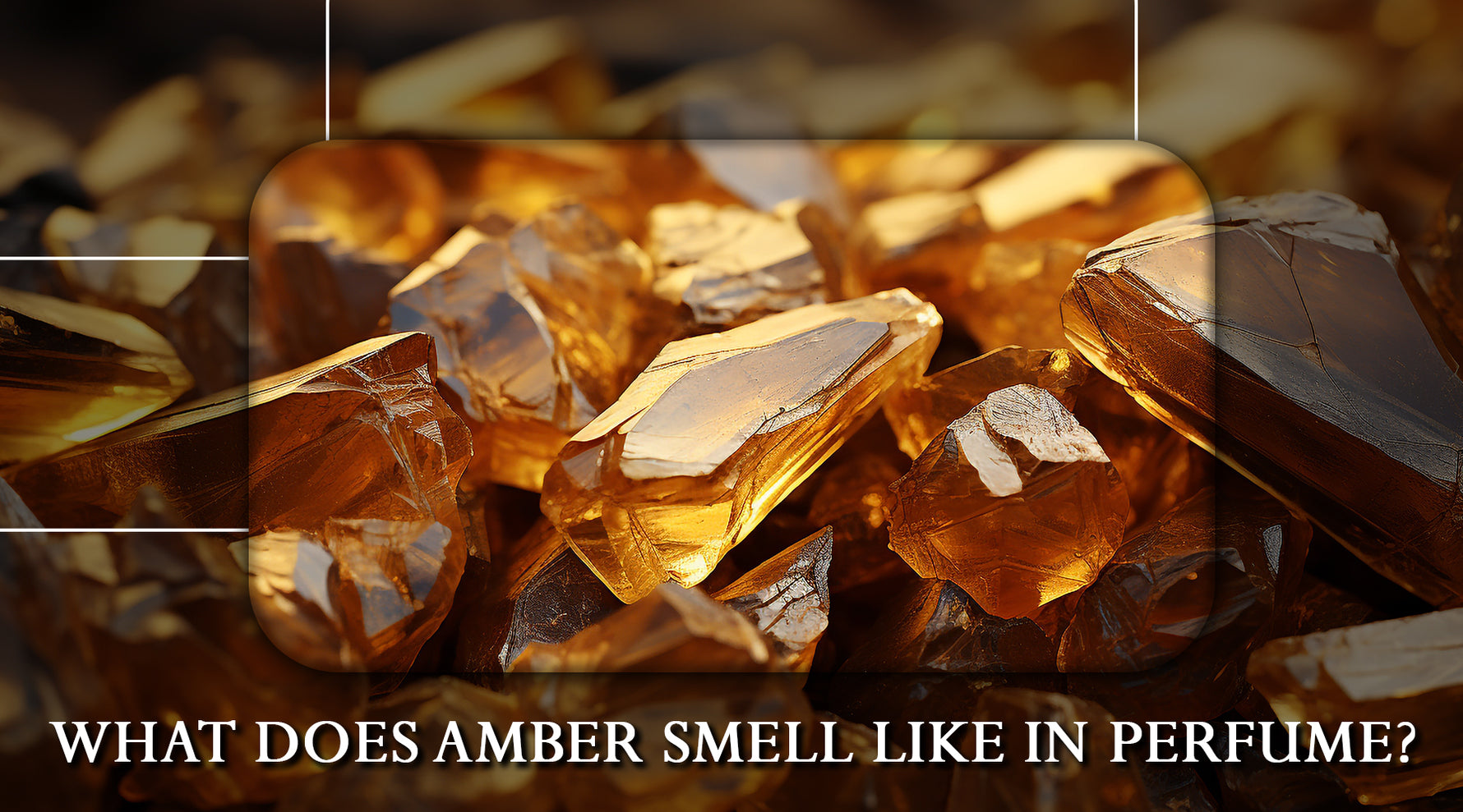 What Does Amber Smell Like in Perfume? Walk Fragrances"