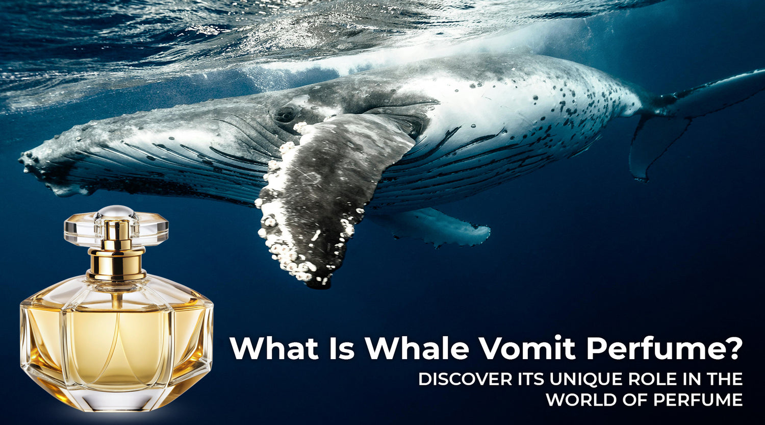 What is Whale Vomit Perfume? Uncover Its Unique Role in Fragrance