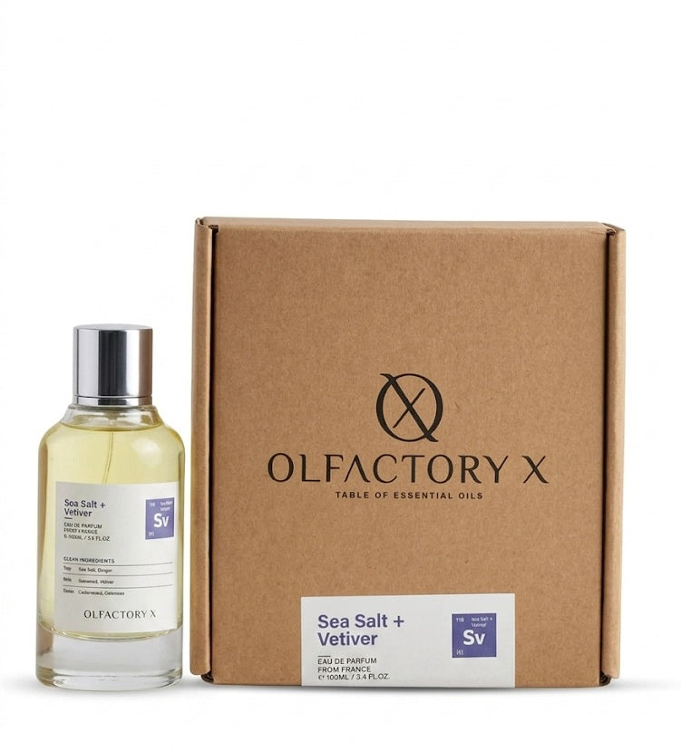 Bulgarian Rose + Vetiver (Rv) by Olfactory X – 3.4 oz EDP – Floral
